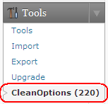 wp-tools-clean-options